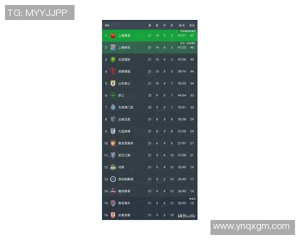 杭州羽毛球队在钻石联赛积分榜上以54分稳居第一名展现强劲实力