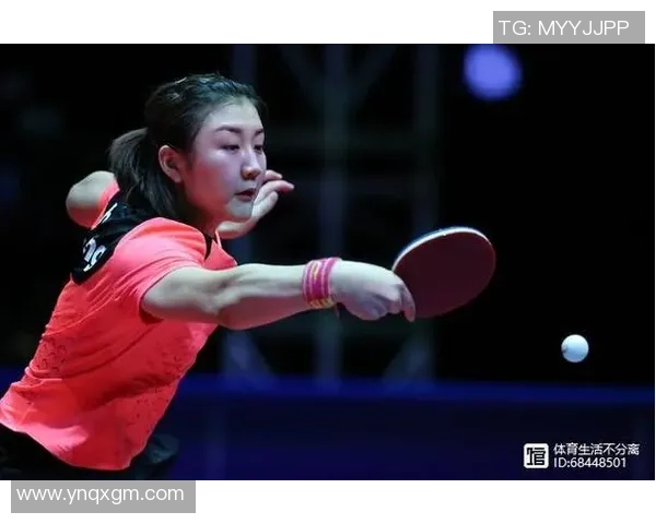 杭州羽毛球队快攻战术解析与深度剖析的全景视角 杭州羽毛球队快攻战术解析与深度剖析的全景视角