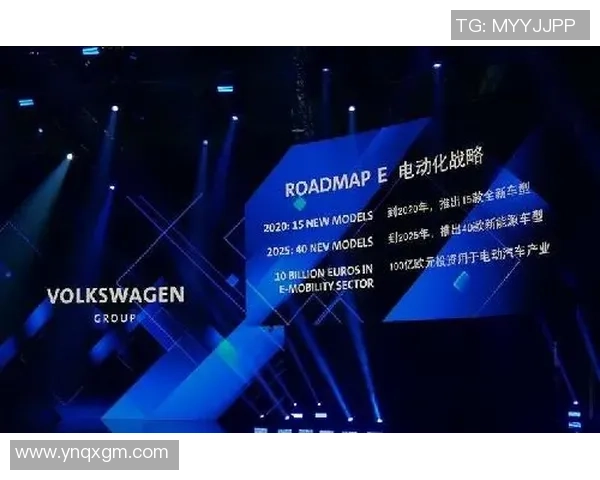 杭州羽毛球队转型升级之路：探索新策略与未来发展方向