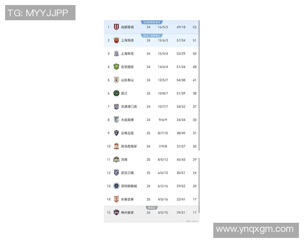 杭州足球队在世界杯积分榜上以91分稳居第一名展现强大实力
