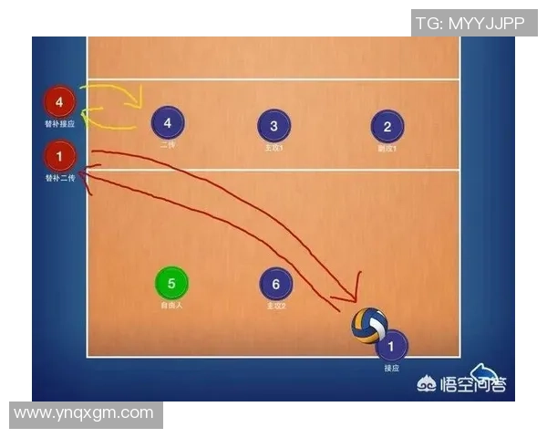 深入分析上海排球队的节奏打法及其对比赛的影响与优势