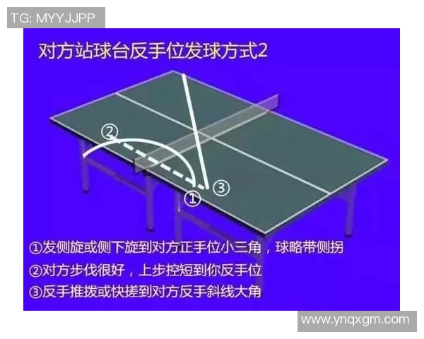 乒乓球战术解析：深入探讨北京乒乓球队的盯防体系与实战应用