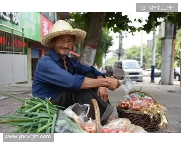 足球明星转行卖菜揭秘背后的故事与趣闻视频合集 足球明星转行卖菜揭秘背后的故事与趣闻视频合集